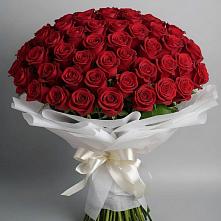 Букет 101 Красная роза Блэк Мэджик в Сонково