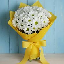 Букет цветов из:  Хризантемы в Сонково