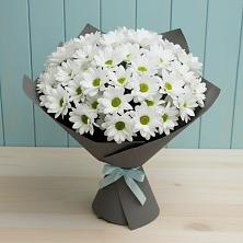 Букет цветов из:  Хризантемы в Сонково