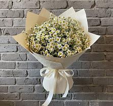 Букет цветов из:  Ромашки #REPLACE_PRED# Сонково