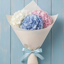Букет цветов из:  Гортензия в Сонково
