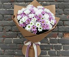 Букет цветов из:  Хризантемы #REPLACE_PRED# Сонково