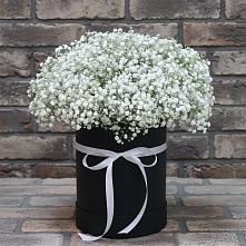 Цветочная композиция из Гипсофила в шляпной коробке в Сонково