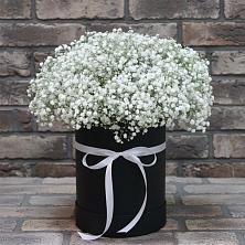 Цветочная композиция из Гипсофила в шляпной коробке в Сонково