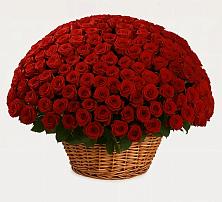 Премиум букет из: Розы в Сонково